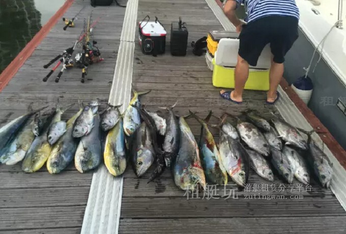 三亞海釣?zāi)康牡赝扑]，租艘釣魚(yú)艇去海釣吧！