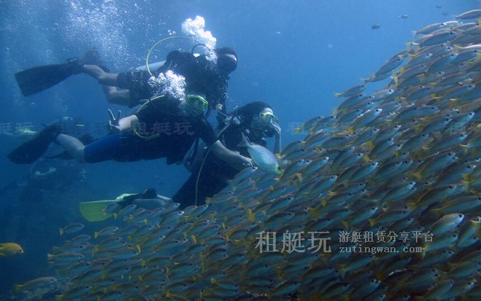 租游艇出海玩什么？十類炫酷水上玩具